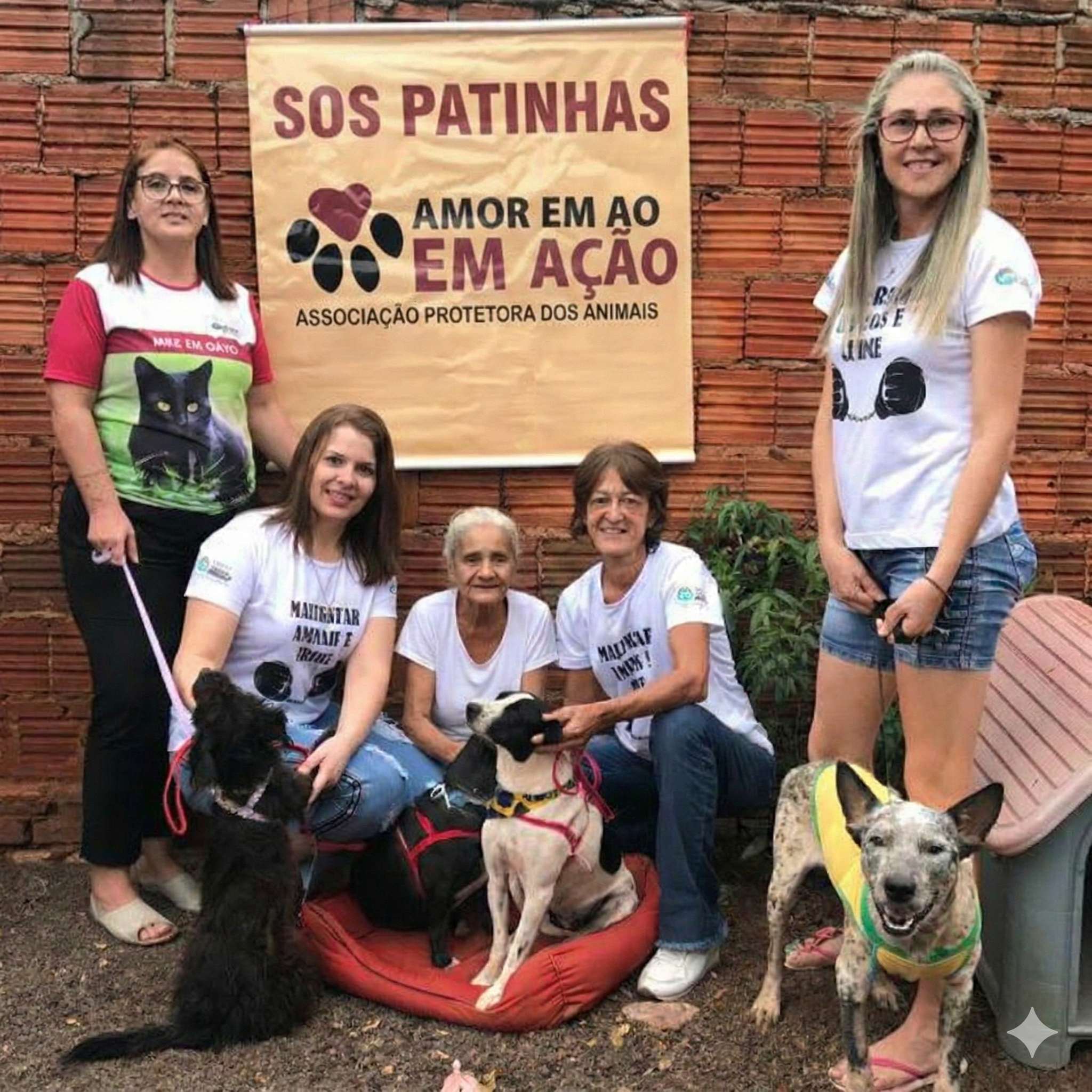 Voluntárias do grupo SOS Patinhas com cães resgatados